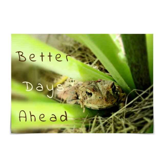 "Better Days Ahead" nachdenklicher Toad Karte (Von Creator hochgeladen)