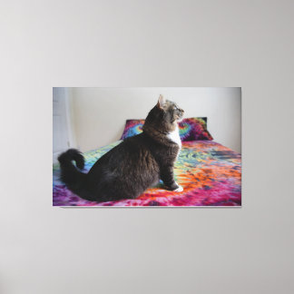 Bettkatze Stretched Canvas Print Leinwanddruck