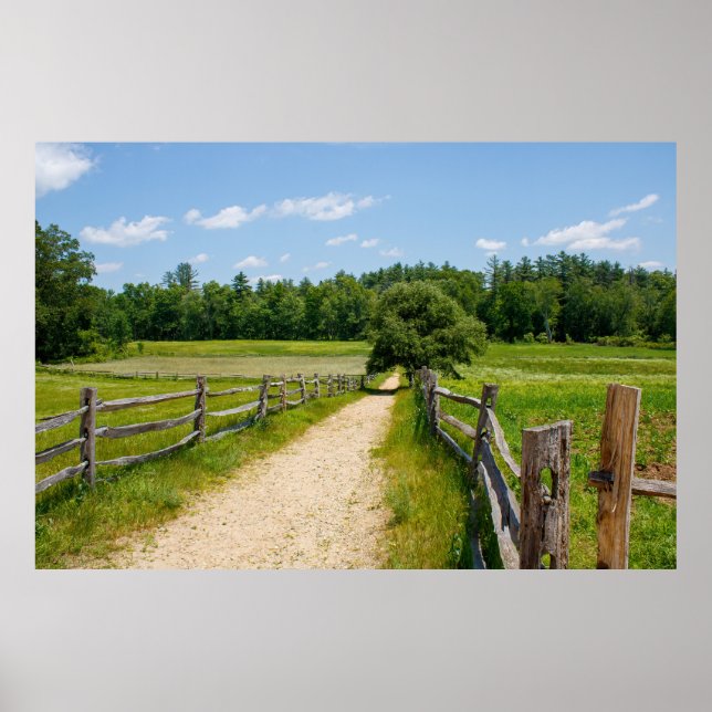Between the Fences Poster (Vorne)