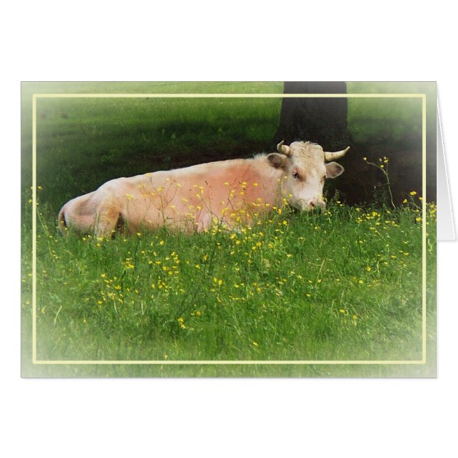 Beurre (Devant horizontal)