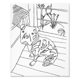 Bev the Pup Print Fotodruck