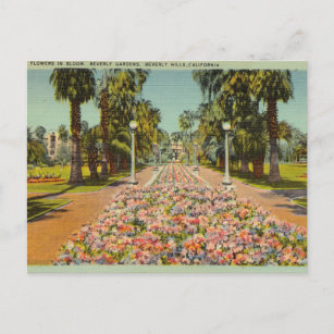 Beverly Gardens, Beverly Hills, Kalifornien Postkarte