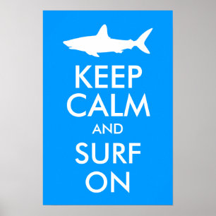 Bewahre Ruhe und surfe weiter Poster