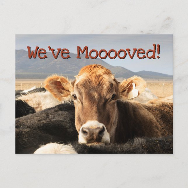 Bewegung Ankündigungspostkarte (Vorderseite)