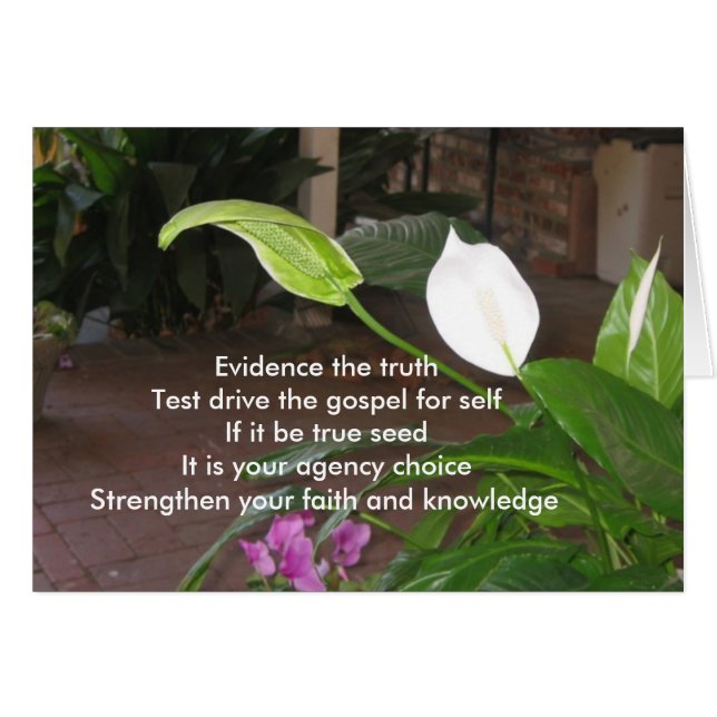 Beweisen Sie die Wahrheit (Vorderseite (Horizontal))