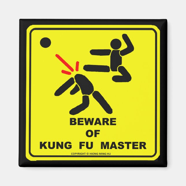 BEWERTUNG VON KUNG FU MASTER MAGNET (Vorne)