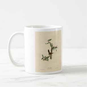 Bewick's Wren von Audubons Vögeln von Amerika Kaffeetasse