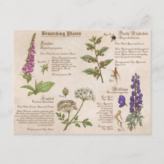 Bewittern von Pflanze Feild Guide Postcard Postkarte
