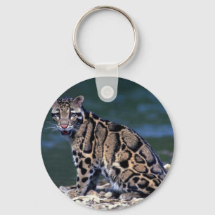 Bewölkter Leopard-Auge Kontakt Schlüsselanhänger