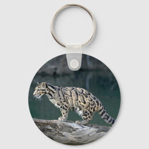 Bewölkter Leopard Schlüsselanhänger