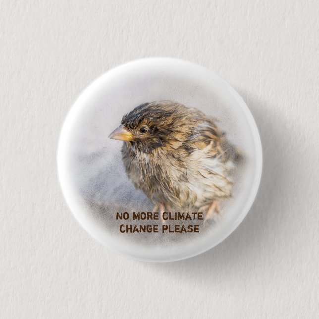 Bewusstsein für den Klimawandel Button (Vorderseite)
