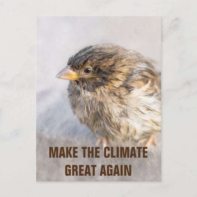 Bewusstsein für den Klimawandel Postkarte (Vorderseite)