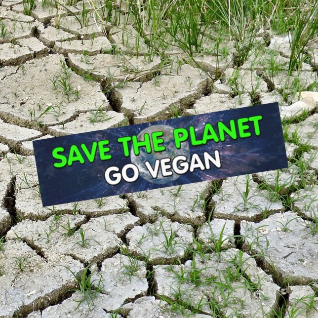 Bewusstsein Vegan Autoaufkleber (Von Creator hochgeladen)