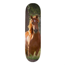 "Bewusstseins-" Skateboard