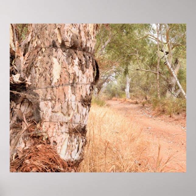 "Beyond the Old Stump" - Australisches Landschaftl Poster (Vorne)