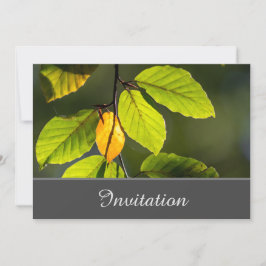 Bezaubernde Einladungskarte mit farbenfrohen Folia