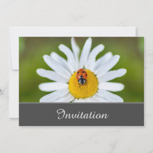 Bezaubernde Einladungskarte mit Ladybug