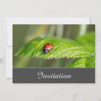 Bezaubernde Einladungskarte mit Ladybug
