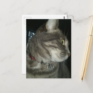 bezaubernde graue getigerte Katze Pentagramm Halsb Postkarte