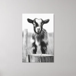 Bezaubernde monochromatische Tranquil-Babyziege Leinwanddruck