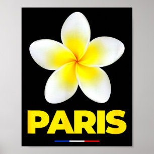 Bezaubernde Schönheit von Paris Frankreich Trocal Poster