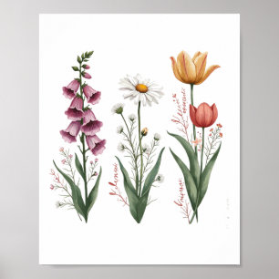 Bezaubernde Vintage Pflanze Foxglove Daisy Tuli Poster