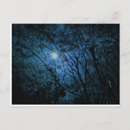 bezaubernder dunkler Wald Postkarte