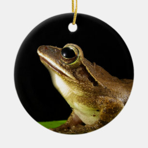 Bezaubernder Frosch auf einer Lily Pad, Wasserlili Keramik Ornament