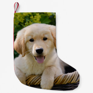 Bezaubernder Goldie Hundeniedlicher Kleiner Weihnachtsstrumpf