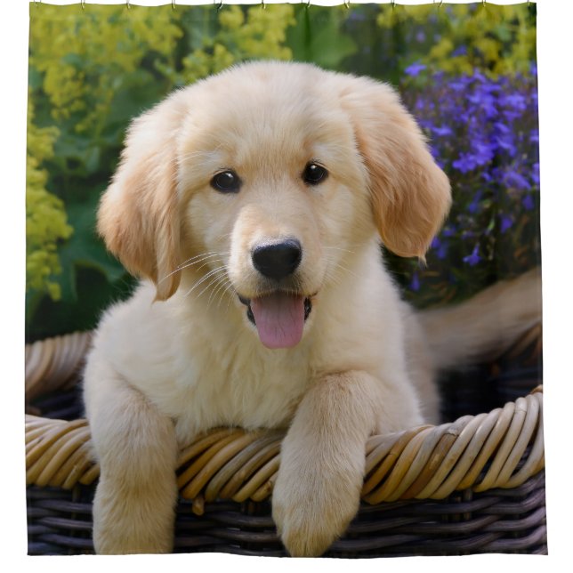 Bezaubernder Goldie Hundewelpen-Duschvorhang Duschvorhang (Vorderseite)