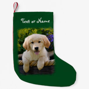 Bezaubernder Goldie Retriever-Hundewelpe Kleiner Weihnachtsstrumpf