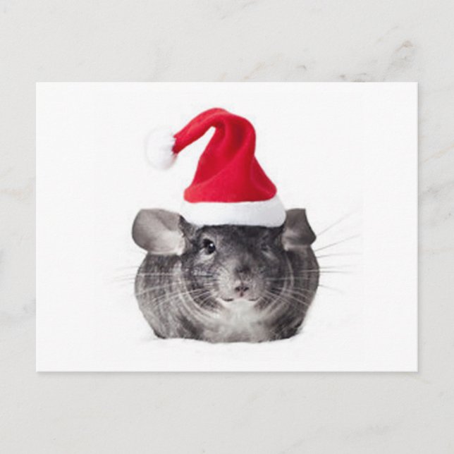 Bezauberndes Chinchilla Feiertagspostkarte (Vorderseite)