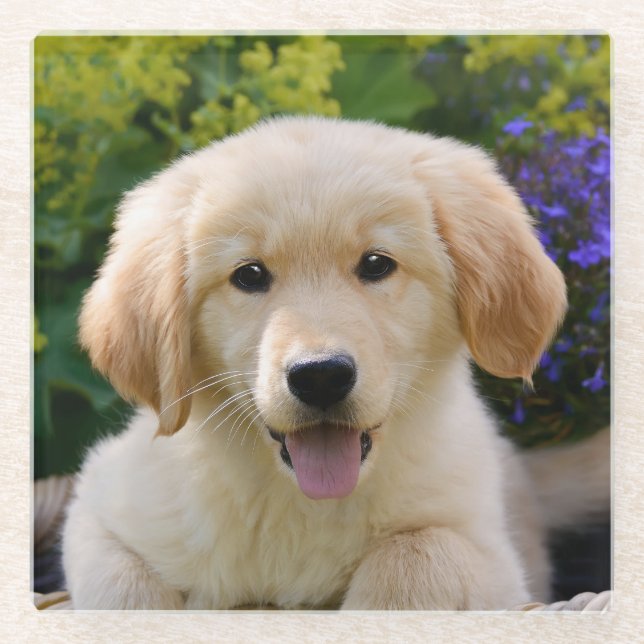 Bezauberndes Goldie Hundewelpen-niedliches Foto, Glasuntersetzer (Vorderseite)