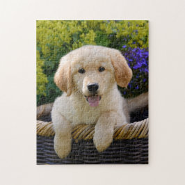 Bezauberndes Goldie Hundewelpen-Spiel 11x14