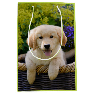 Bezauberndes Goldie Mittlere Geschenktüte