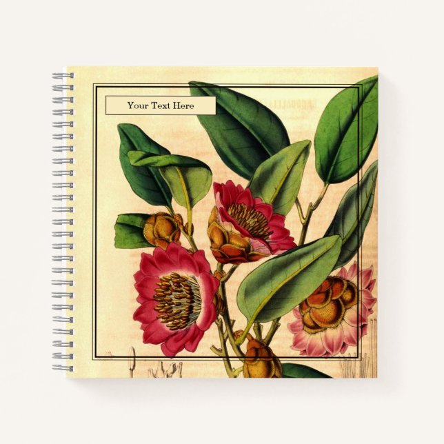 Bezauberndes Hongkonger Rose Spiral Notebook Notizbuch (Vorderseite)