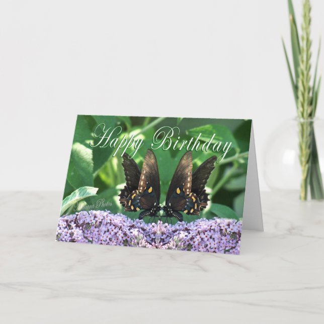 BflyKissesHBDcard Karte (Vorderseite)