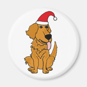 BH, goldener Retriever im Magnet