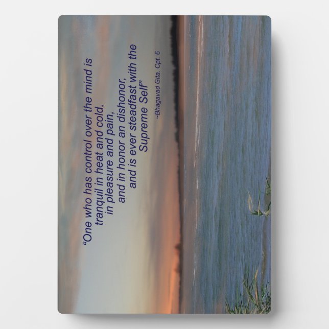 Bhagavad Gita Quote Plaque, "Wer Kontrolle hat.. Fotoplatte (Vorderseite)