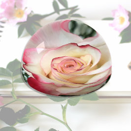 Bi-farbige Rose Briefbeschwerer
