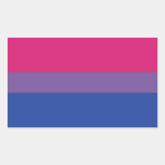Bi Flag Rechteckiger Aufkleber (Vorderseite)