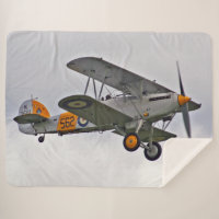 BI-FLUGZEUG