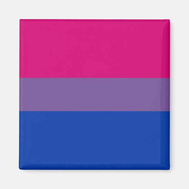 Bi Pride Flag-Magnete Magnet (Vorne)