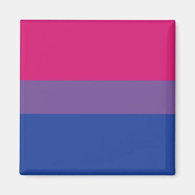 Bi-Pride-Magnet Magnet (Vorne)