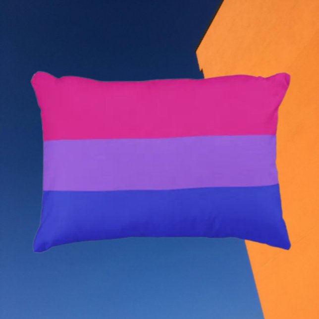 Bi-Stolz-Akzente Dekokissen (Von Creator hochgeladen)