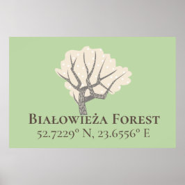 Białowieża Forest Latitude & Longitude Poster