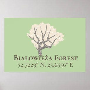 Białowieża Forest Latitude & Longitude Poster