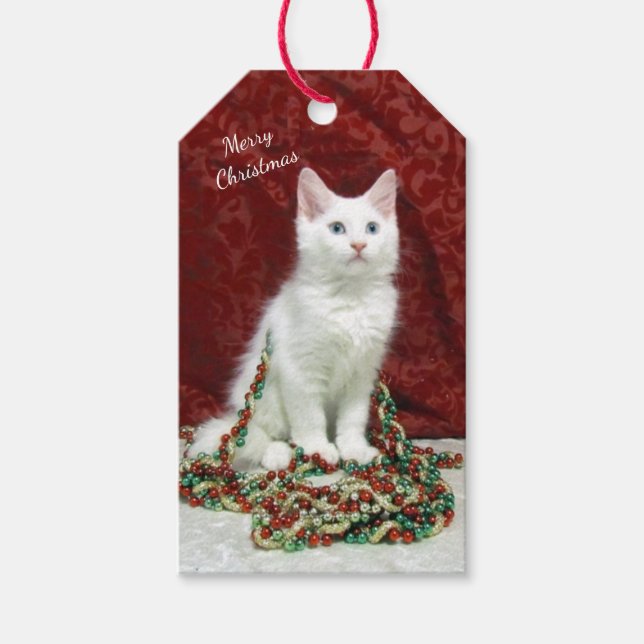 Bianca's Maine Coon Christmas Cat Geschenkmarke Geschenkanhänger (Vorderseite)