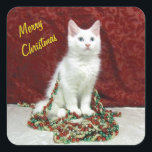 Bianca's Maine Coon Christmas - Katze / Kitten Quadratischer Aufkleber<br><div class="desc">Bianca's Maine Coon Christmas - Katze / Kitten</div>