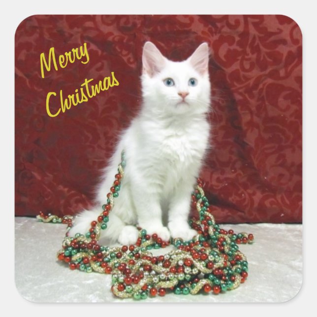 Bianca's Maine Coon Christmas - Katze / Kitten Quadratischer Aufkleber (Vorderseite)